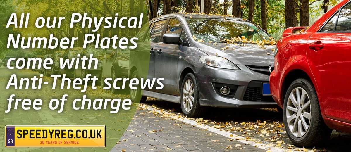 All our Physical Number Plates come with Anti Theft Screws Free of Charge