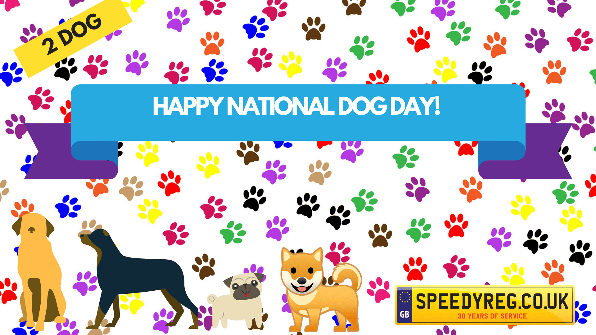 Are You Barking Mad? It’s National Dog Day!