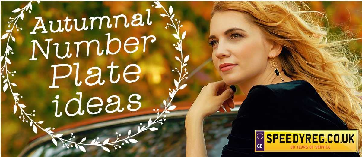 Autumnal Number Plate ideas
