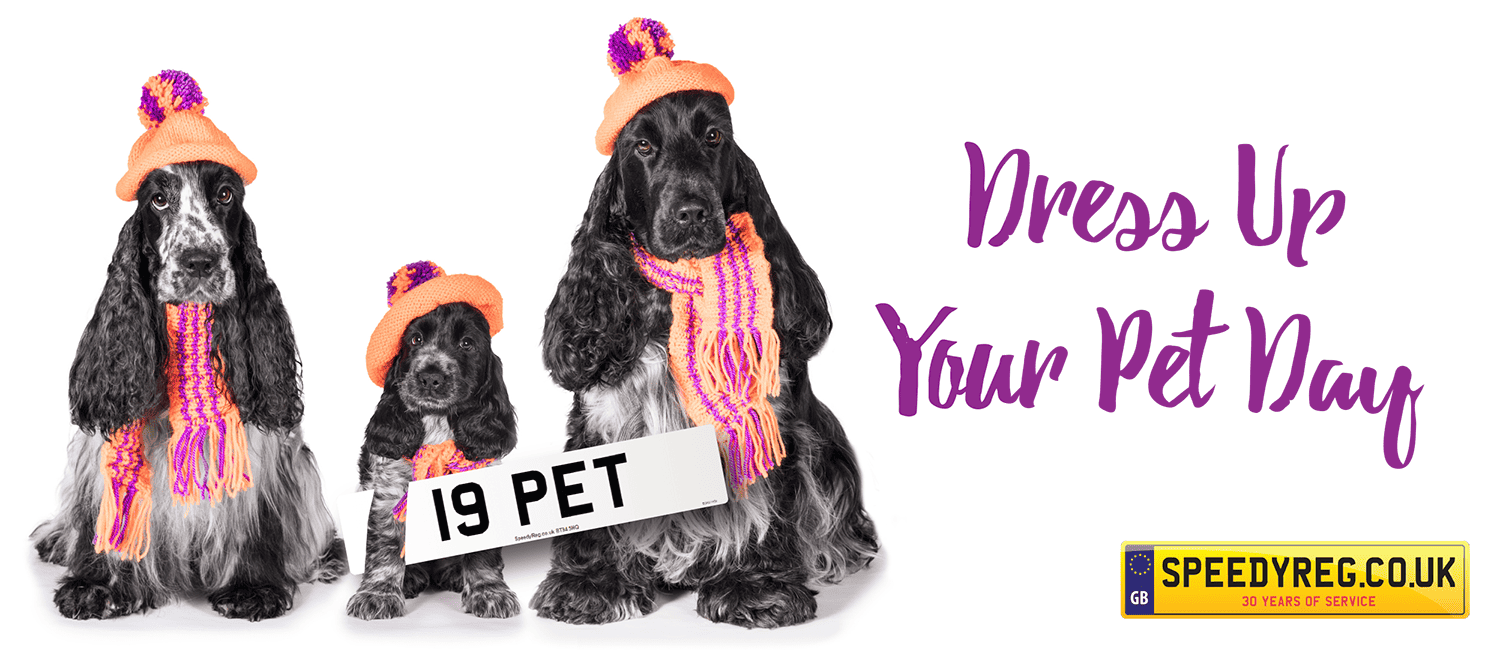 Get out the Guinea Pig Glad Rags – It’s Dress Up Your Pet Day!