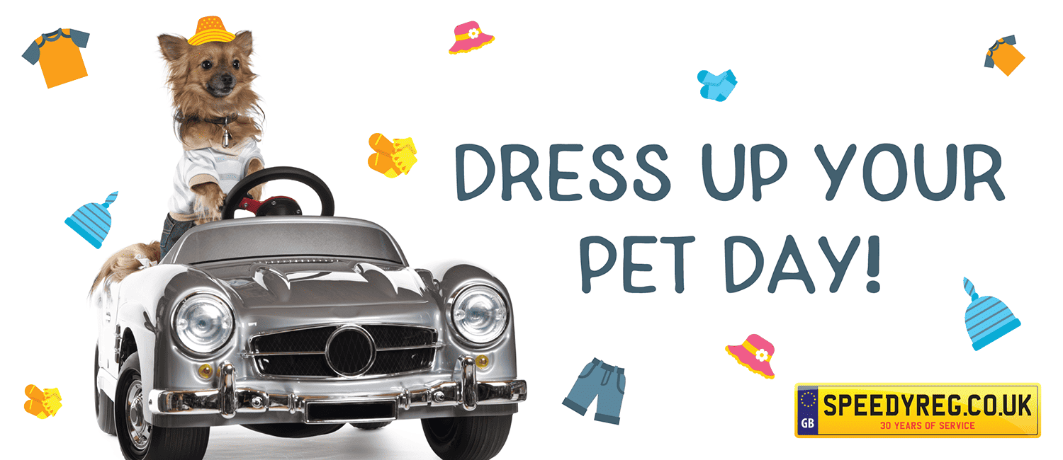 Get Out the Outfits, it's Dress Up Your Pet Day!