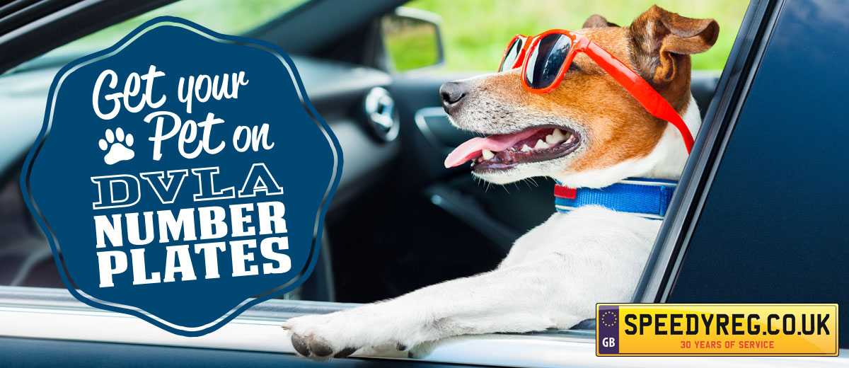 Get your pet on a DVLA number plate