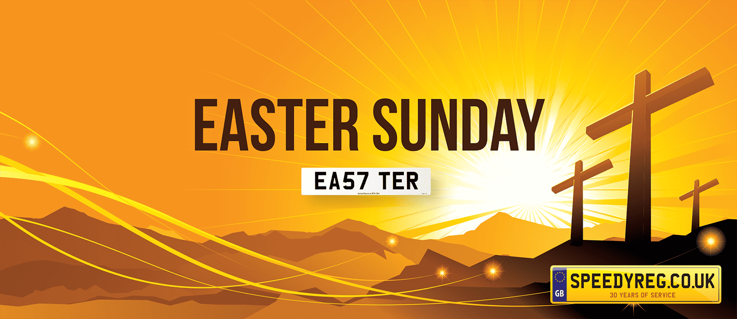 How to Find Eggs-actly the Plate you Want this Easter! ﻿