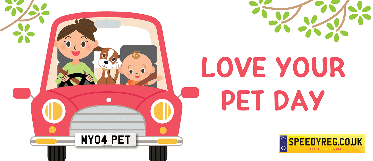 It’s Time for Cuddles on Love Your Pets Day!