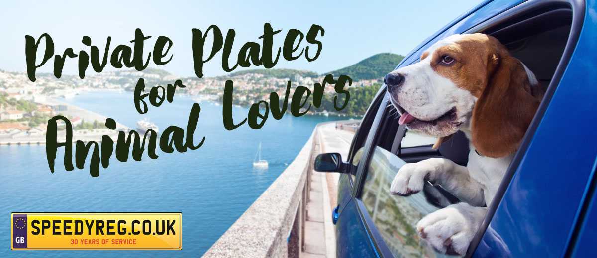 Private Plates for Animal Lovers