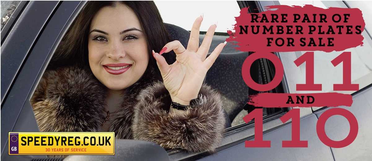 Rare Pair of Number Plates For Sale O 11 and 11 O
