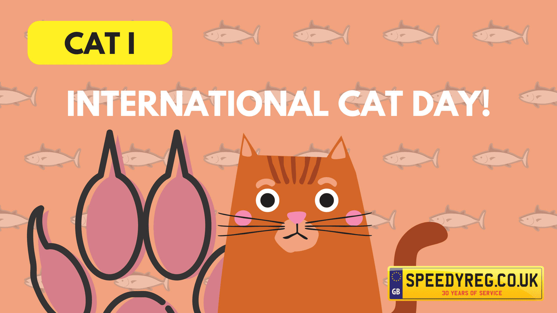 Show Appreciation of your Feline Friends on International Cat Day