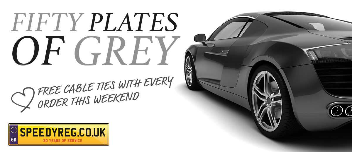 SPeedyReg_50Shades_02