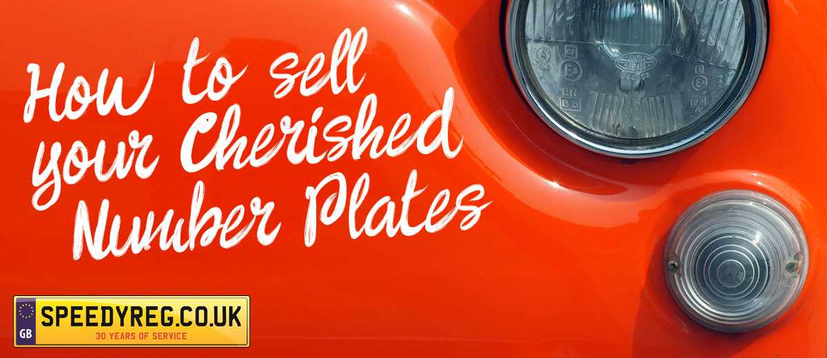 Speedyreg_Cherished_01 (2)