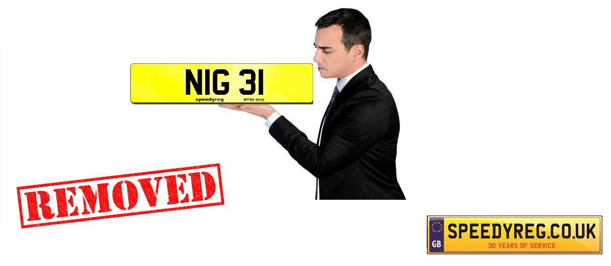 The Controversy of Plate NIG 31