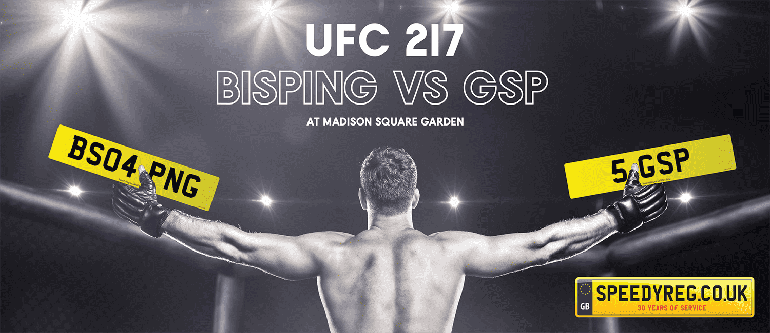 UFC 217 – Bisping vs St-Pierre